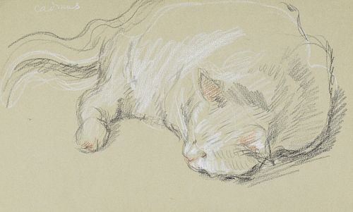 Paul Cadmus Sleeping Cat Crayon on Paper