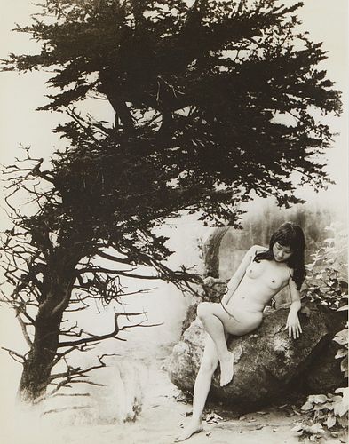 Chin San Long Photograph Nude with Tree Signed