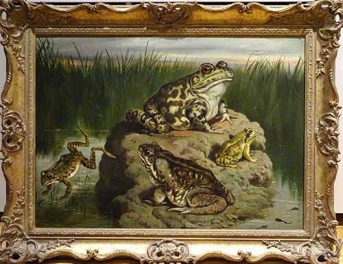 Large 19th Century English Frog & Toad Still Life Study