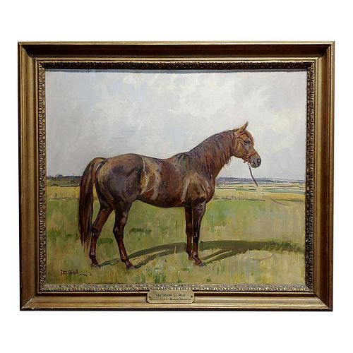Peter Biegel -Matador , Portrait of a Horse -Oil