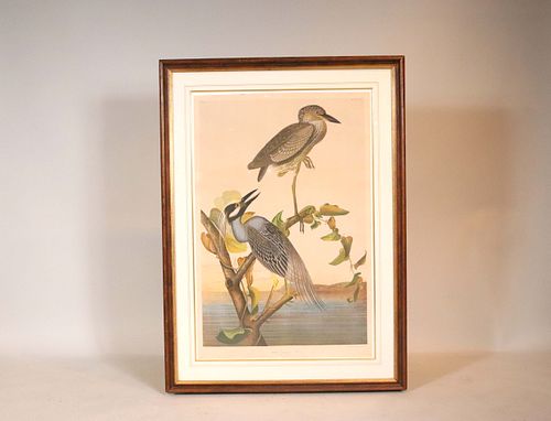After John James Audubon, 'Yellow Crowned Heron'