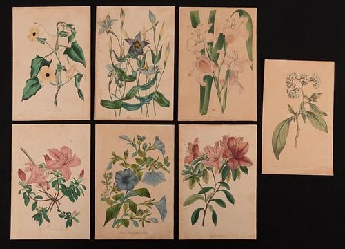 HAND PAINTED FLORAL PLATES, 1814-1929