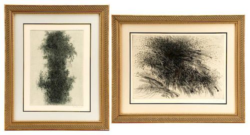 Peterdi "Wisteria" & "Angry Wave", Signed Etchings