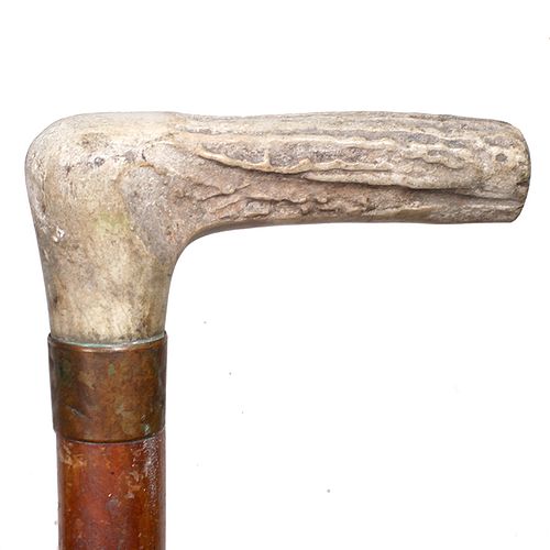 Stag Handle Cane