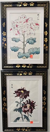 Group of 16 Chinese Flower Prints, all having black chinoiserie decorated frames with heavy gilt flowers, sight sizes 11.75" x 7.75".