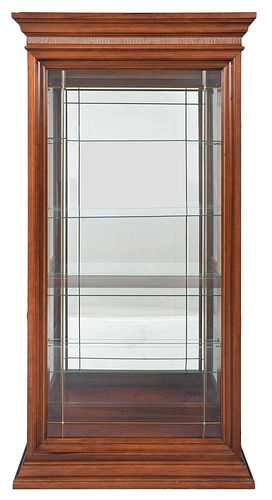 Modern Paneled Beveled Glass Lighted Mirrored Vitrine