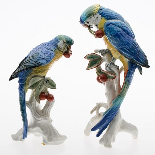 4420007: Two Karl Ens Porcelain Parrots, Volkstedt, Germany, 20th Century T8KBF
