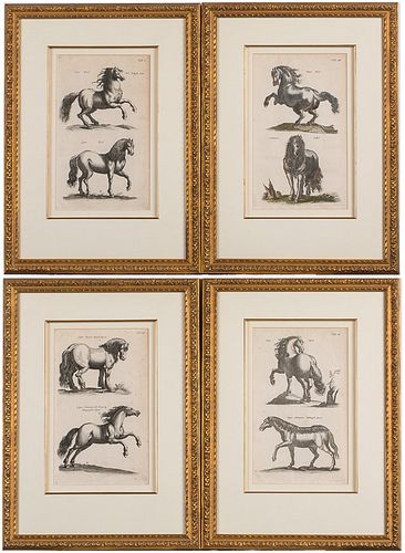 4285887: 4 Framed Horse Engravings, 17th/18th Century E1REO