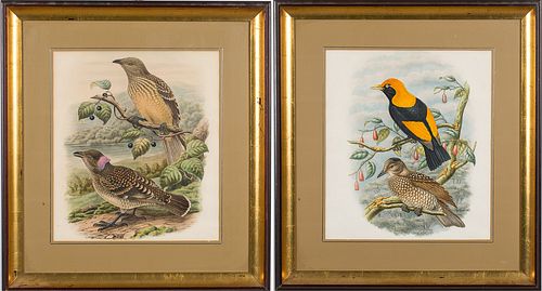 4285970: Two Hand-Colored Lithographs of Birds, Including William Matthew Hart E1REO