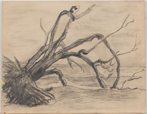 4058166: Eleanor Torrey West (Georgia/Michigan, b. 1913),
 Uprooted Tree, Pencil on Paper E8RDL