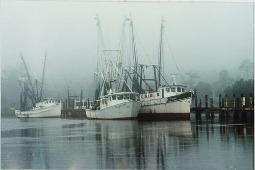 4058196: Daniel H. Grant, Shrimp Boats, Photograph E8RDN