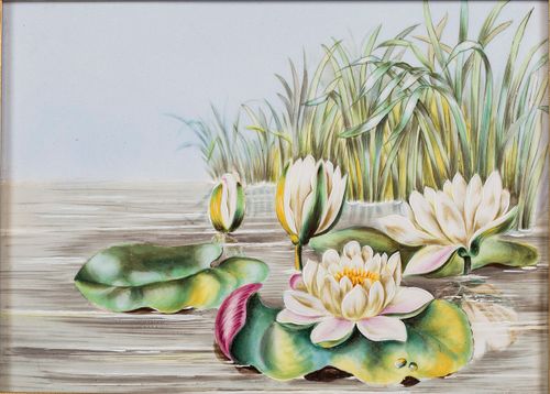 3863141: Painted Porcelain Plaque With Water Lilies, 20th Century E4RDF