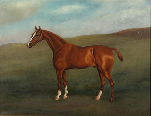 British School, Portrait of a Horse