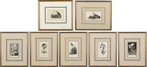 After Audubon, 9 Framed Bird Prints
