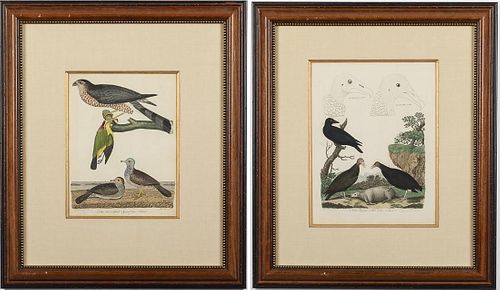 Alexander Wilson, 2 Hand-Colored Engravings of Birds