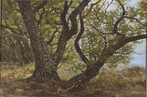 Painting of a Large Oak Tree, Acrylic on Canvas