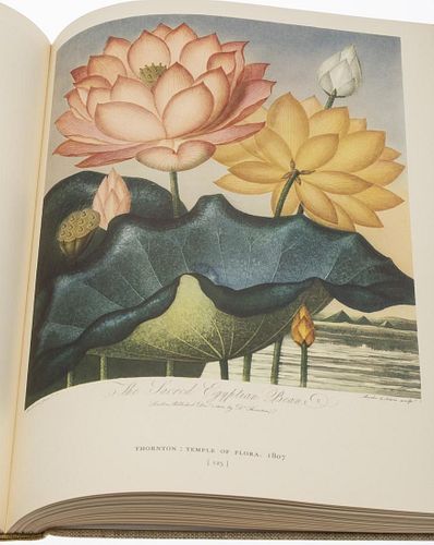 Gordon Dunthorne, Flower & Fruit Prints, Publ. 1938