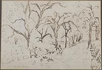 3753597: Myrtle Jones (Savannah, 1913-2007), Street Scene
 Drawing, Possibly Forsyth Park, Pen on Paper E3RDL
