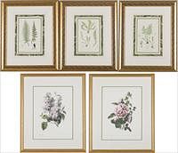 3776787: 5 Framed Botanical Prints E3RDO