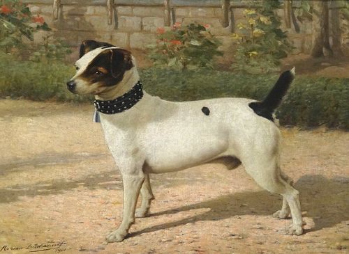 JACK RUSSELL TERRIER DOG PORTRAIT OIL PAINTING