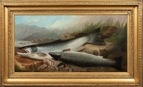 STUDY OF SALMON FISH OIL PAINTING