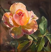 5654864: Sandra Ober (VA/SC/FL, 20th/21st C), Rose, Oil on Canvas EV1DL