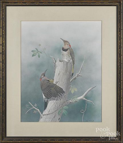 John O'Neill bird print, 23'' x 18''.