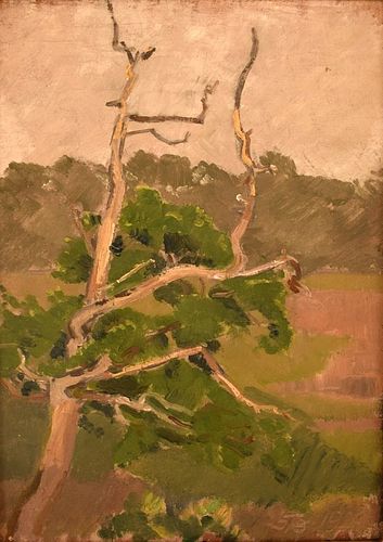 LANDSCAPE WITH TREETOP OIL PAINTING