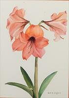 5098324: Ruth D. Langhorne (Virginia, 20th Century), Flower,
 Watercolor on Paper EL1QL
