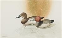 5097066: William Entrekin (Georgia, b. 1946), Two Duck Decoys,
 Watercolor on Paper EL1QL
