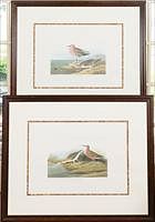 5166791: After John James Audubon (NY/France, 1785-1851), Two Prints of Birds EL3QO
