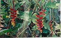 5157951: M. Pohlmann (TX/FL, 20th/21st C), Botanical Study
 with Red and Yellow Flowers, Colored Pencil EL3QL