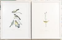 5166770: After John James Audubon (NY/France, 1785-1851), Two Prints of Birds EL3QO