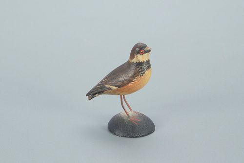 Miniature Semipalmated Plover, A. Elmer Crowell (1862-1952)