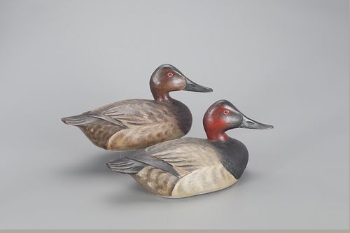 Pair of Outstanding Raised-Wing Canvasback Decoys, A. Elmer Crowell (1862-1952)