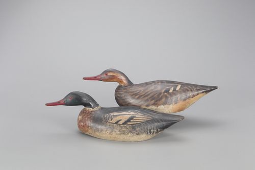 Pair of Exceptional Swimming Merganser Decoys, A. Elmer Crowell (1862-1952)