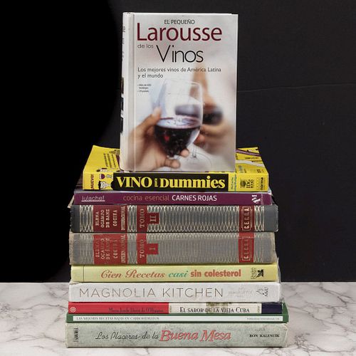 Libros sobre Gastronomía y Vinos. El Pequeño Larousse de los Vinos / Vino para Dummies / Cien Recetas... Pzs: 10.