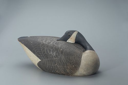 Safford Sleeping Canada Goose Decoy, Charles A. Safford (1877-1957)