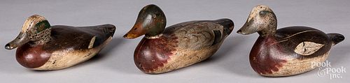 Three carved and painted duck decoys, mid 20th c.