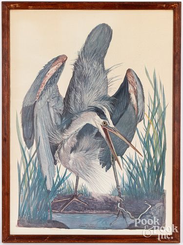 Two Carroll Tyson signed bird prints