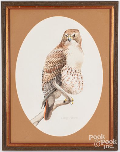 J. Randolph Rowe watercolor of a hawk