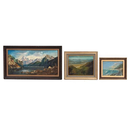 Lote de 3 paisajes. Óleos sobre tela.  FIRMADO RIBBERCK, 50 x 100 cm , FIRMADO G. CHAVALIER. 30 x 40 cm y FIRMADO CEPALOS.