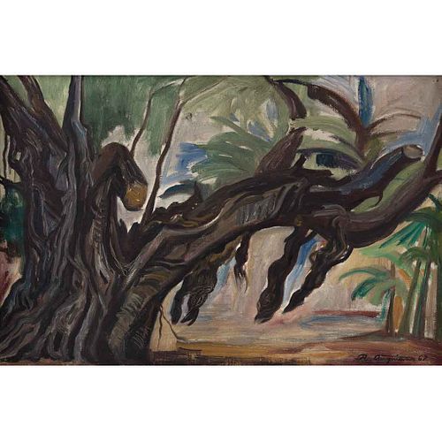 RAÚL ANGUIANO, Árbol viejo, Firmado y fechado 67, Óleo sobre tela, 40 x 60 cm