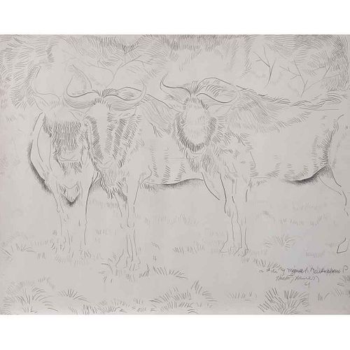 HÉCTOR XAVIER, Bisontes, Firmada y fechada 61, Punta de plata sobre papel, 40.4 x 51 cm