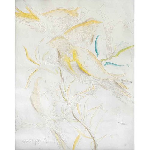 HÉCTOR XAVIER, Aves, Firmada y fechada 61, Punta de plata y acuarela sobre papel, 34 x 27 cm