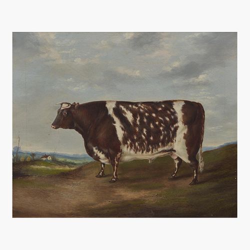 British School (19th Century) Prize Ayrshire Cow, Facing Left