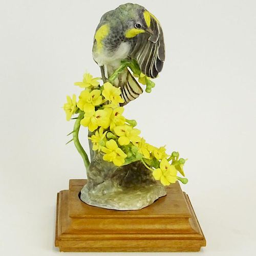 Dorothy Doughty Royal Worcester Porcelain Bird Group "Audubon Warbler and Palo Verdi". On wood stand. Signed. Good condition. Measures 8-1/2" H. Shipp