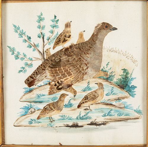 American School, Grouse, Watercolor & Feathers