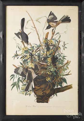 After John James Audubon, Bien edition chromolithograph of a mocking bird, plate 138, 37 1/2'' x 25''.