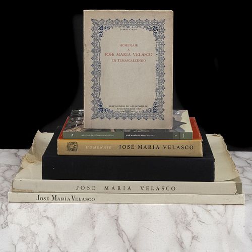 Libros sobre José María Velasco. José María Velasco. Pinturas, Dibujos, Acuarelas / José María Velasco. Homenaje. Piezas: 6.